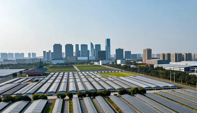 系统集成服务选择中的误区分析与正确理解